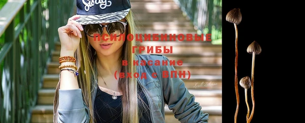 ПСИЛОЦИБИНОВЫЕ ГРИБЫ Алзамай