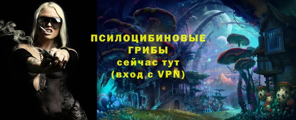 mix Алексеевка