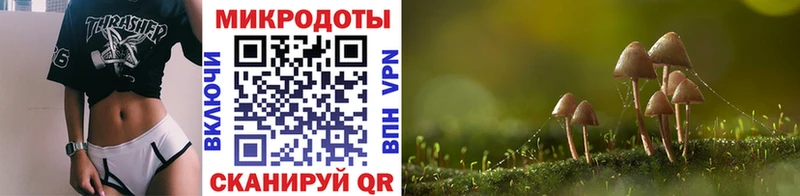Галлюциногенные грибы Psilocybe  купить  сайты  Новокузнецк 